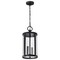 Nuvo Broadstone - 2 Light Hanging Lantern - Matte Black with Clear Seeded Glass 60/8115 - alternate 1